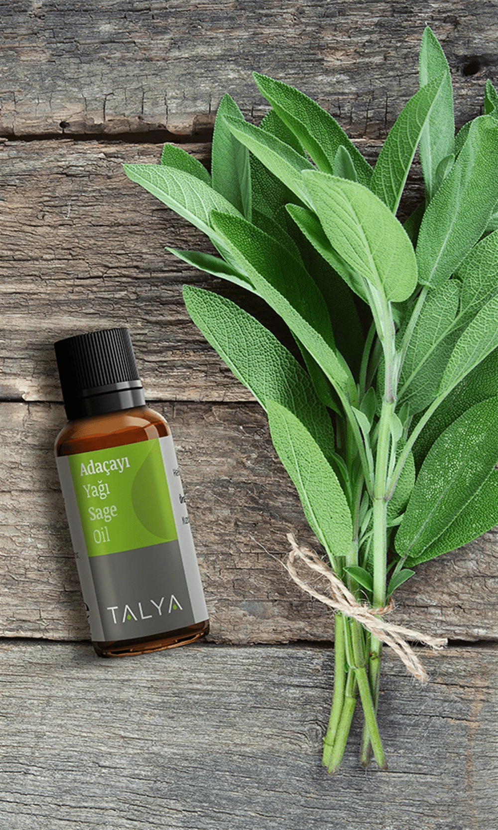 Vaj sherebele 20 ml