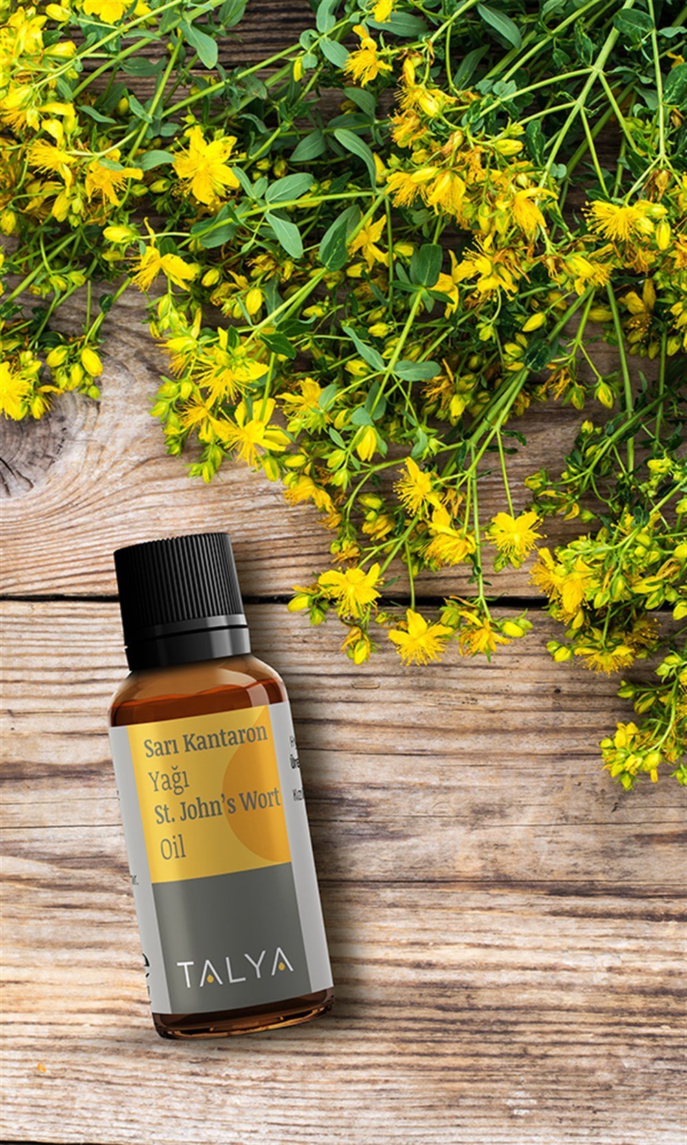 Vaj kantarioni 20 ml